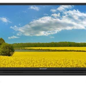 TELEVISION
