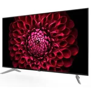 TELEVISION